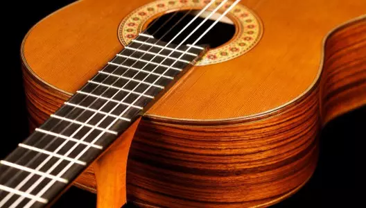 رنگبندی و تعمیر گیتار آدمیرا Fiesta